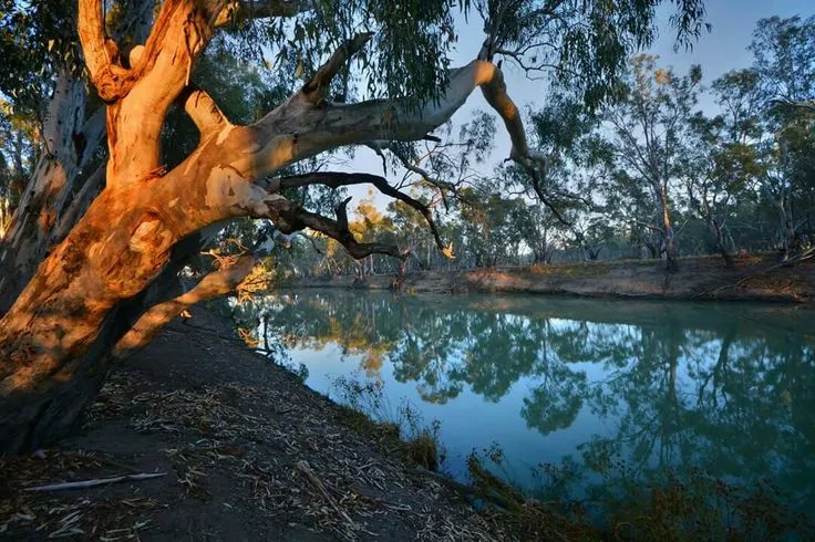 Crossriver Propery Group 11